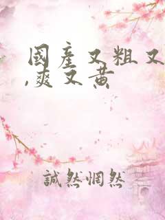 国产又粗又猛又,爽又黄