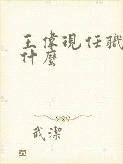 王伟现任职务是什么