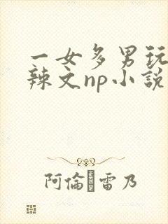 一女多男玩弄h辣文np小说