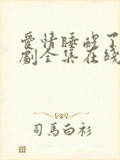 爱情睡醒了电视剧全集在线观