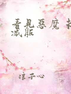 看见恶魔 未删减版