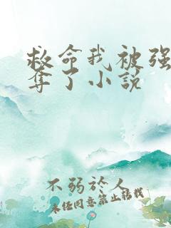 救命我被强取豪夺了小说