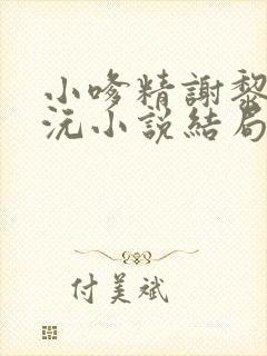 小嗲精谢黎宋沅沅小说结局