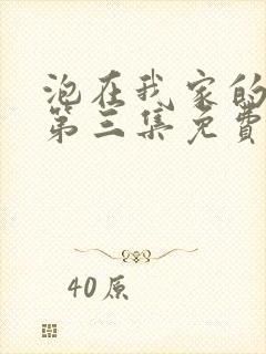 泡在我家的辣妹第三集免费观看动画片