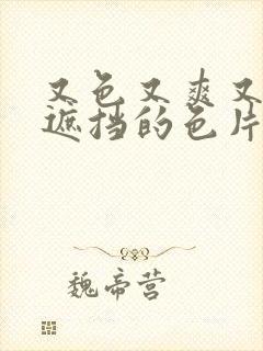 又色又爽又黄无遮挡的色片