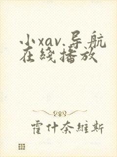 小xav.导航在线播放