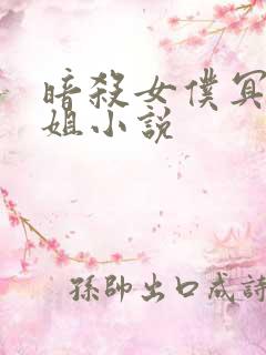 暗杀女仆冥土小姐小说