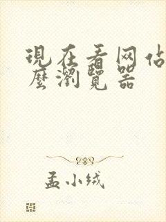 现在看网站用什么浏览器