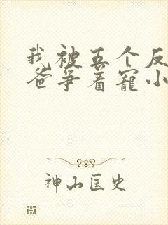 我被五个反派爸爸争着宠小说