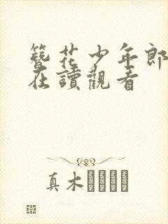 簪花少年郎免费在读观看