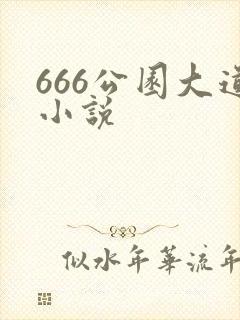 666公园大道小说