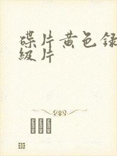 碟片黄色录像一级片