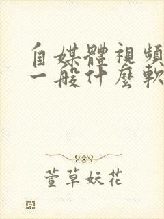 自媒体视频剪辑一般什么软件