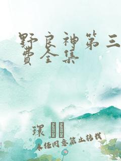 野良神第三季免费全集