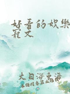 好看的娱乐圈甜宠文