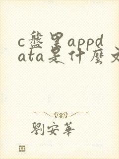 c盘里appdata是什么文件夹