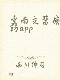 云南交医疗保险的app