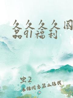 久久久久国产精品91福利