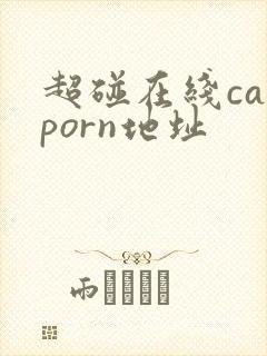 超碰在线caoporn地址