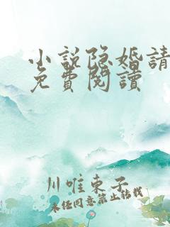 小说隐婚请低调免费阅读