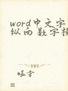 word中文字纵向 数字横向怎么打