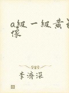 a级一级黄色录像