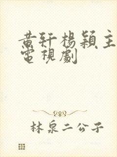 黄轩杨颖主演的电视剧