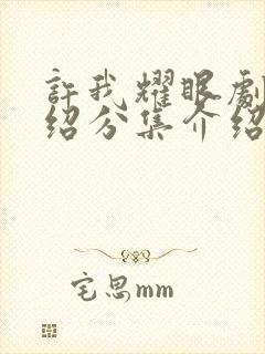 许我耀眼剧情介绍分集介绍