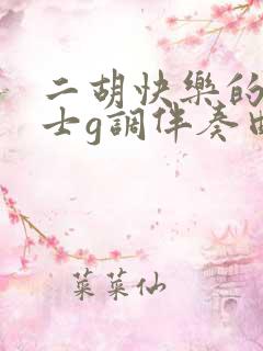 二胡快乐的女战士g调伴奏曲