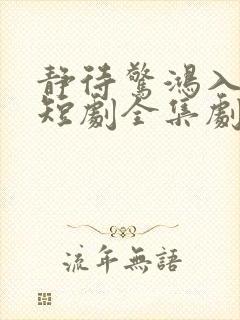 静待惊鸿入瓮慌短剧全集剧情简介