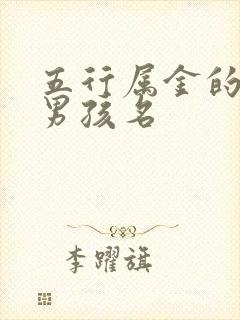 五行属金的字起男孩名