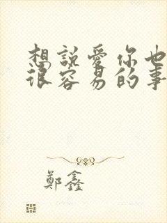 想说爱你也不是很容易的事是什么歌