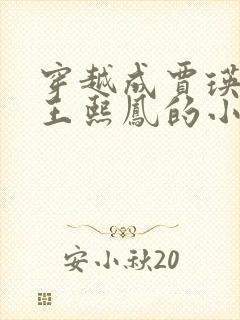 穿越成贾瑛娶了王熙凤的小说