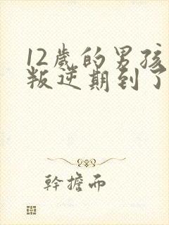 12岁的男孩子叛逆期到了吗