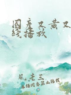 国产又黄又爽在线播放