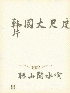韩国大尺度理伦片