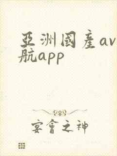 亚洲国产av导航app
