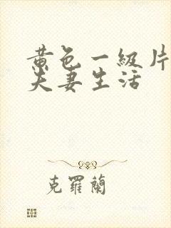 黄色一级片中国夫妻生活