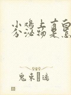 小鸡上有白色的分泌物是怎么回事