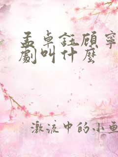 孟卓钰顾宁辰短剧叫什么