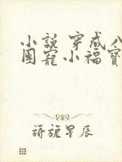 小说 穿成八零团宠小福宝