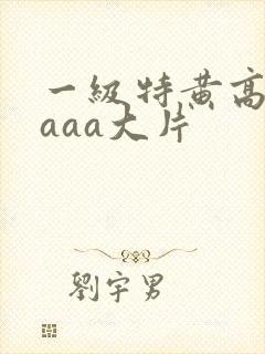 一级特黄高清aaaa大片