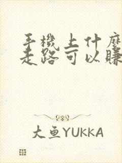 手机上什么软件走路可以赚钱