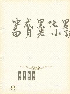 穿成黑化男主的白月光 小说完整板