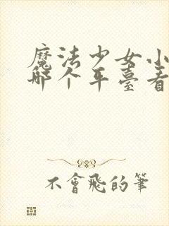 魔法少女小圆在哪个平台看