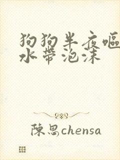 狗狗半夜呕吐黄水带泡沫