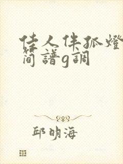 佳人伴孤灯二胡简谱g调