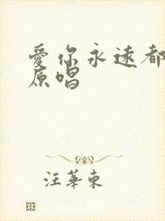 爱你永远都不够原唱