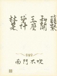 林黛玉和薛宝钗是什么关系