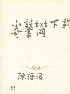小说txt下载奇书网